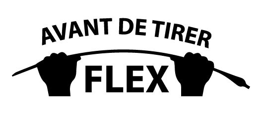 Logo FLEX